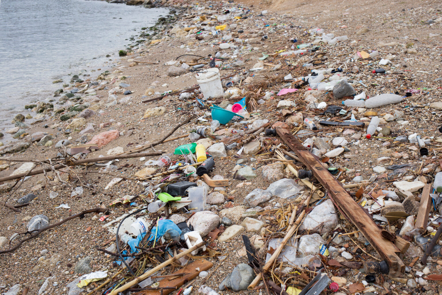 Coastal Cleaning in Peace & Friendship Stadium | Aegean Rebreath